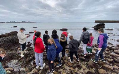 Kerandon sur les traces du Poulpe