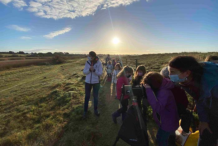Rosporden en quête du héron garde bœuf !