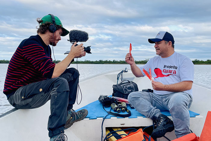 Réintroduire un ibis