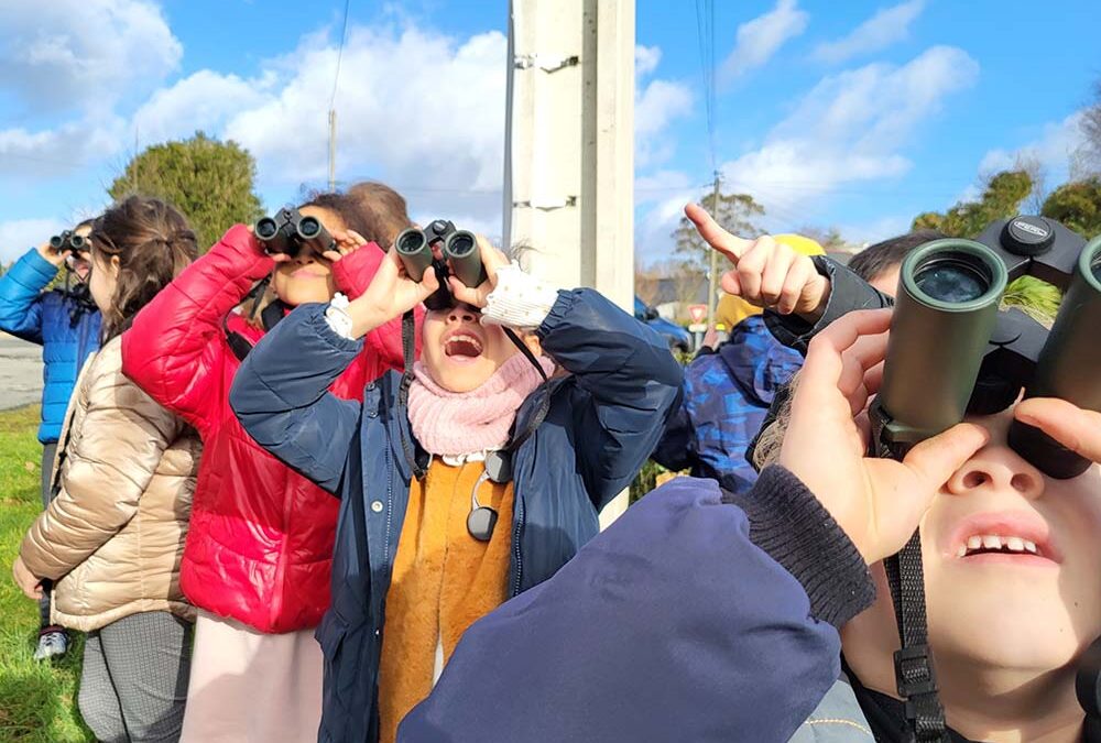 Le Héron garde-boeufs en goguette