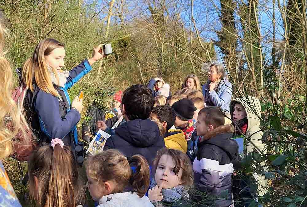 Pincez moi, c’est un Pinson ?