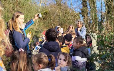 Pincez moi, c’est un Pinson ?