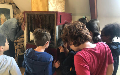 Voyage au cœur des ruches et des fourmilières