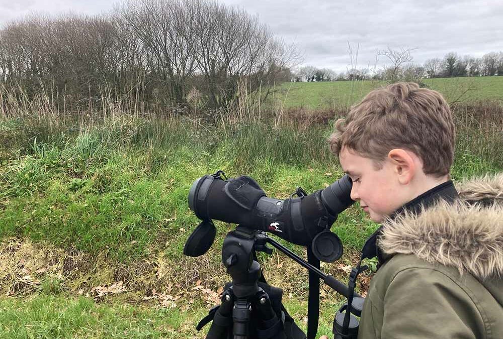 Les joies du Héron retrouvé