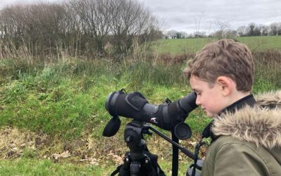 Les joies du Héron retrouvé