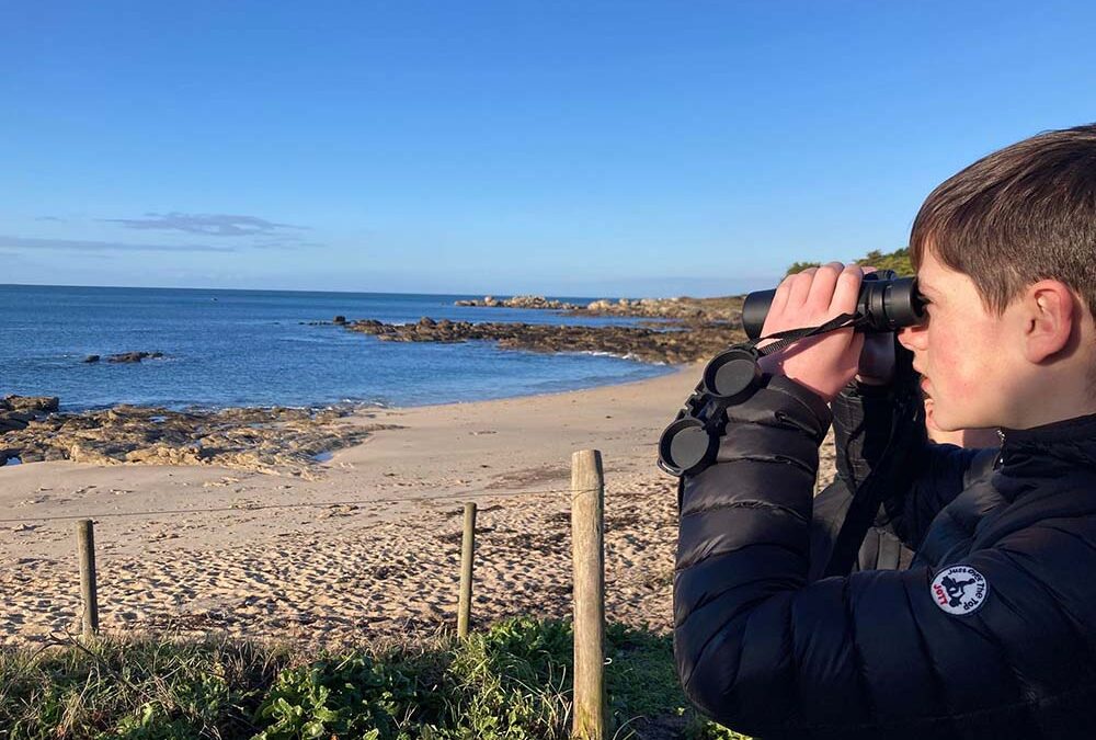 En quête du Héron perdu