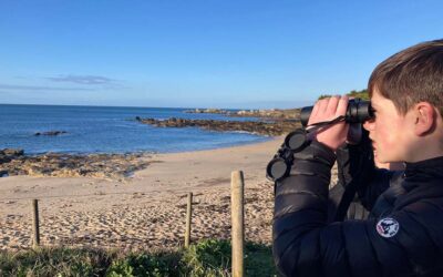 En quête du Héron perdu