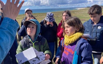 Éclaboussons la nature !