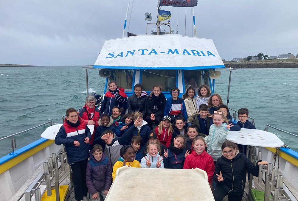 Le Narcisse des Glénan disparu