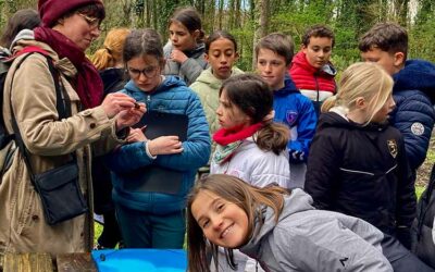 Promenons nous dans le Bois du Hénan