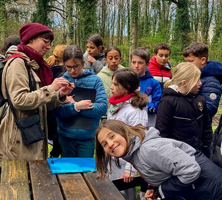 Promenons nous dans le Bois du Hénan