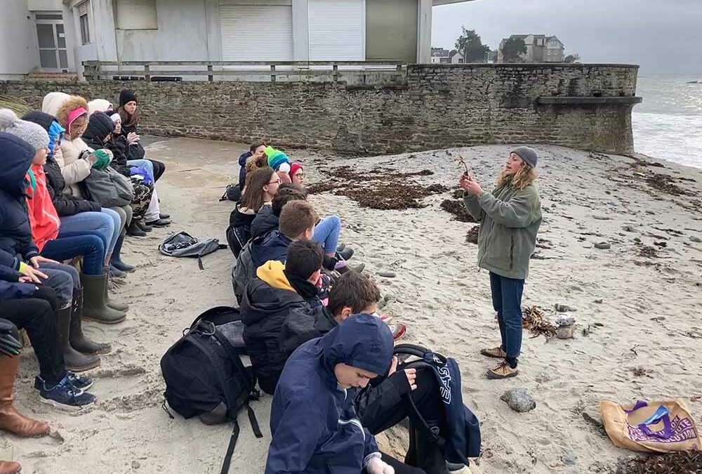 Les mains dans les algues