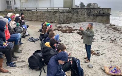 Les mains dans les algues