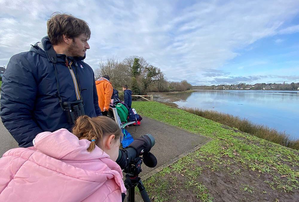 Un voyage de Bernache cravant