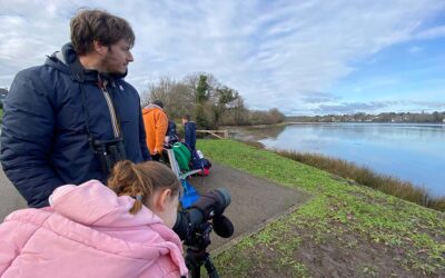 Un voyage de Bernache cravant