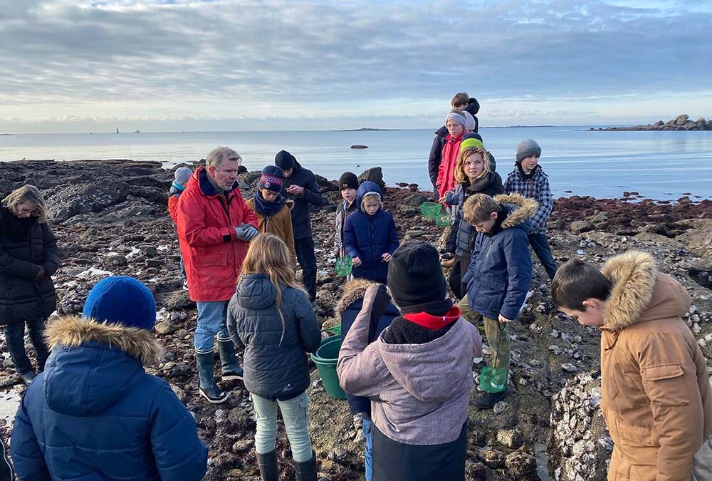 Cap sur le poulpe ! À la découverte de l’estran