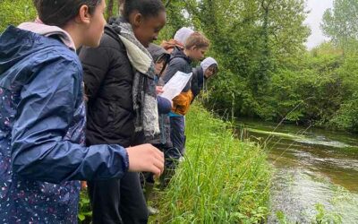 Lou-Loutre où es-tu ?