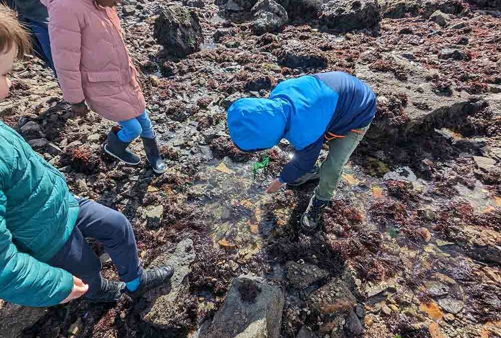 En quête de trésors marins !