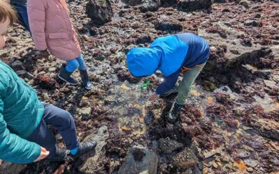 En quête de trésors marins !
