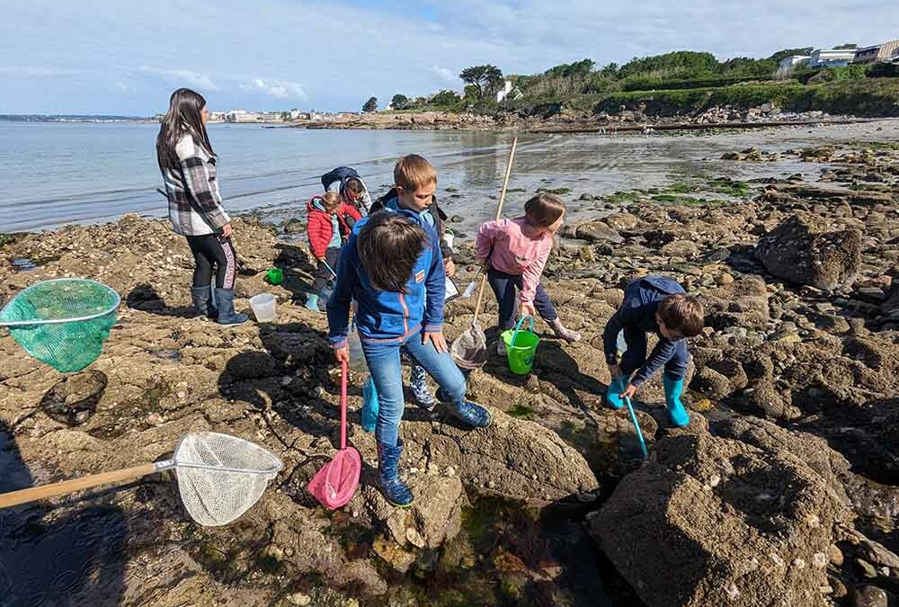 L&rsquo;estran et ses mystères