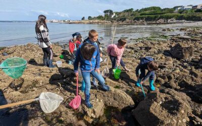 L’estran et ses mystères