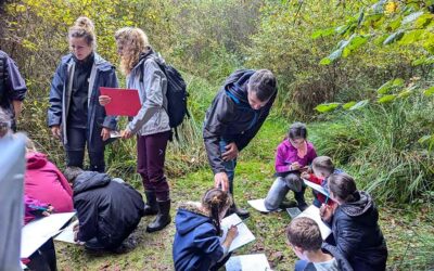 À la pêche aux bestioles