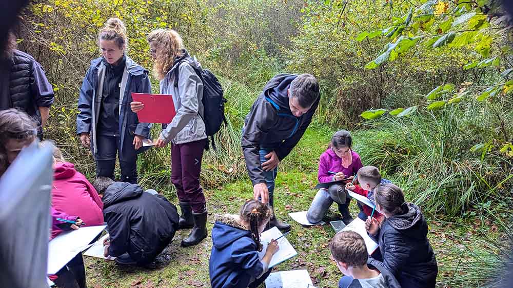 À la pêche aux bestioles