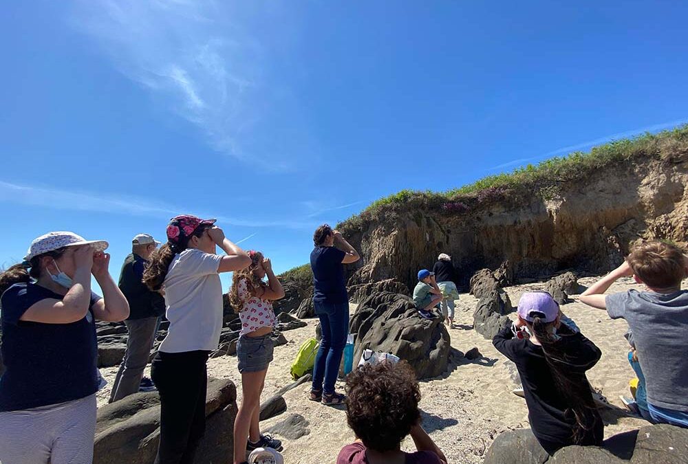 Le retour des hirondelles