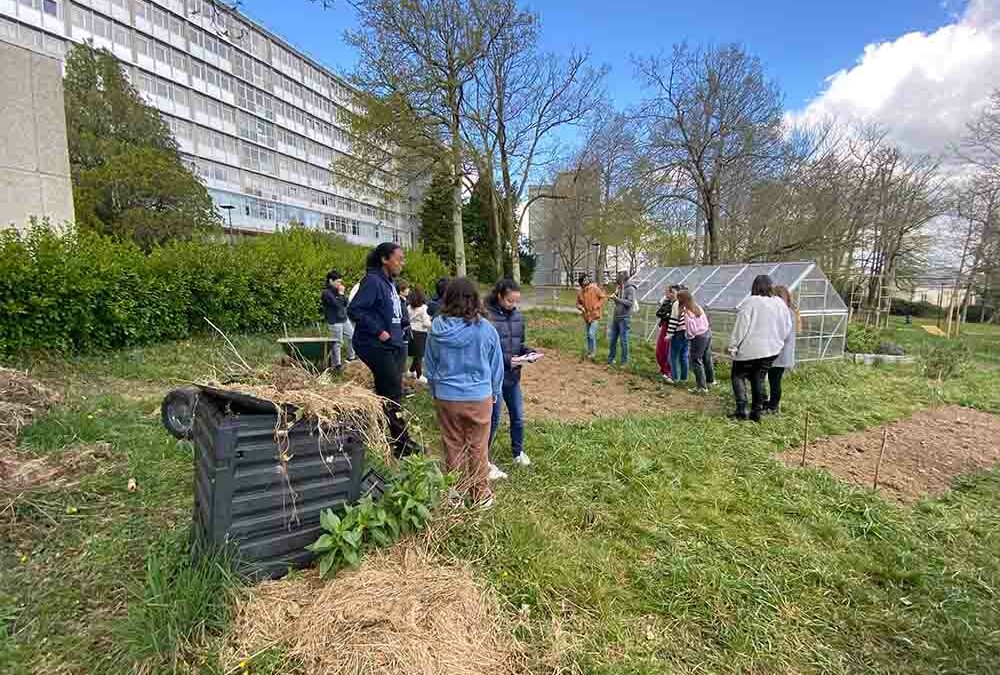 Brizeux sur la piste des hérissons… et des chauves-souris