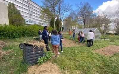 Brizeux sur la piste des hérissons… et des chauves-souris
