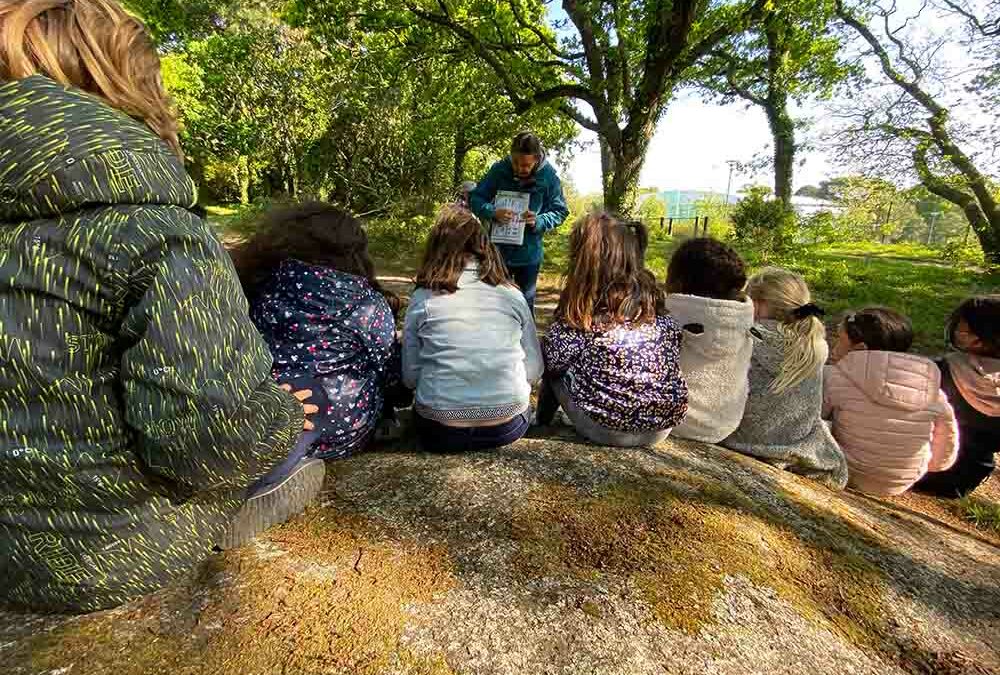 L’école du Centre-Ville à la recherche de l’écureuil roux