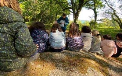 L’école du Centre-Ville à la recherche de l’écureuil roux