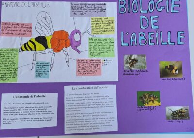 Photothèque • Affiches