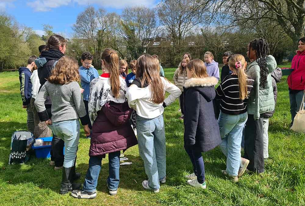 Petites bêtes du sol