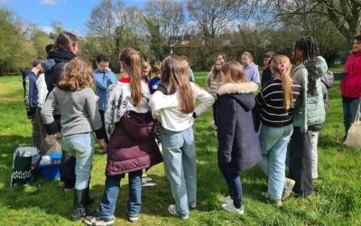 Petites bêtes du sol