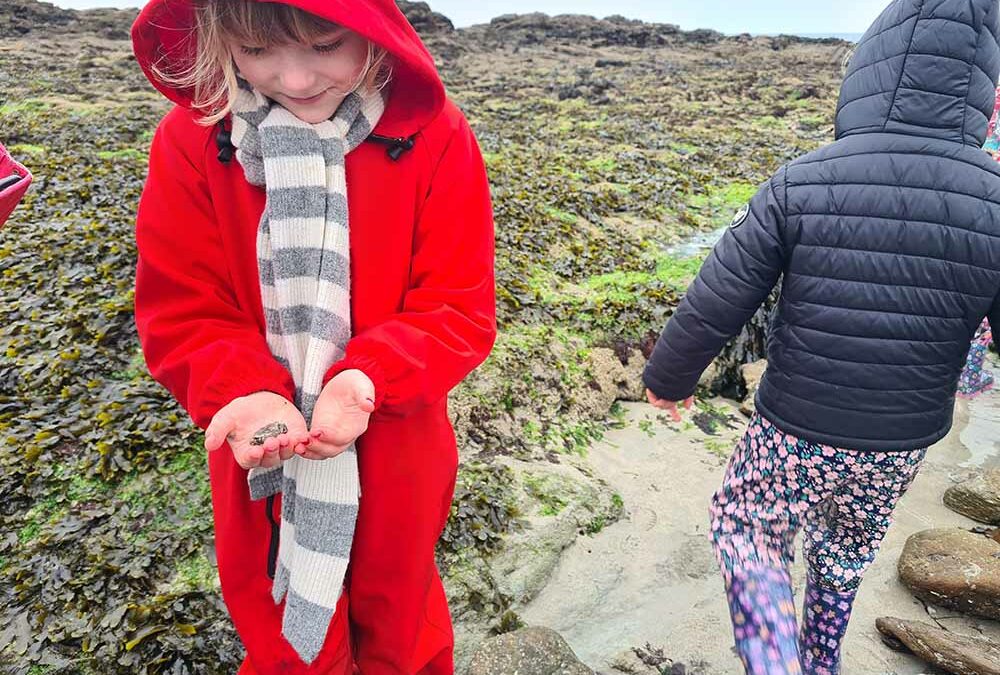 À la recherche d&rsquo;un ermite nommé Bernard