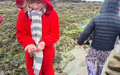 À la recherche d&rsquo;un ermite nommé Bernard