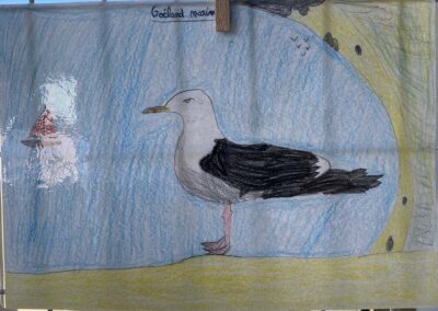 Photothèque • Dessins