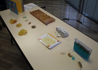 Photothèque • Exposition