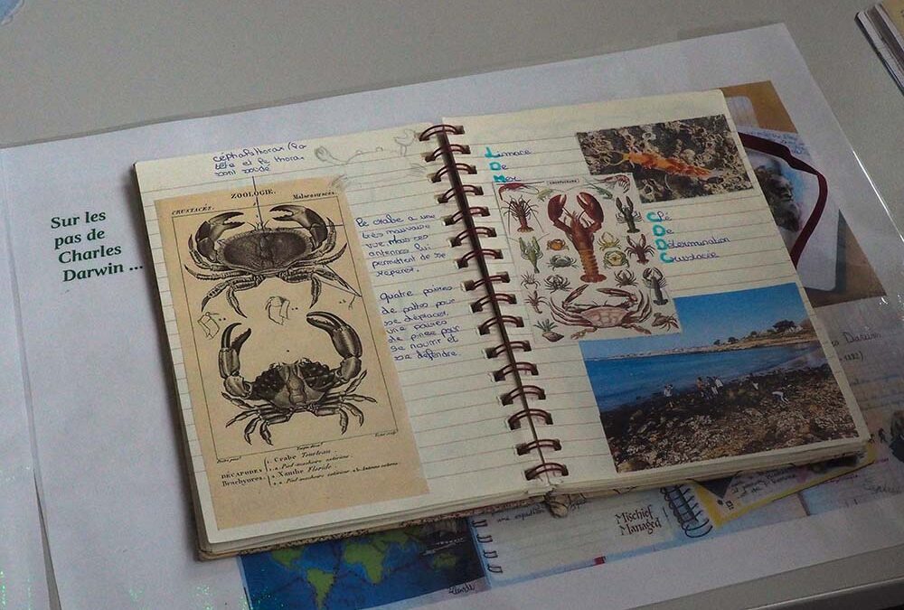 Photothèque • Livres