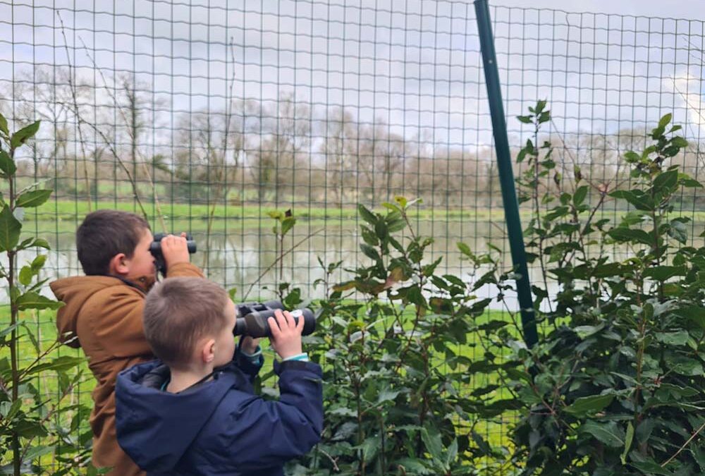 Des manchots à Tourc&rsquo;h ?!