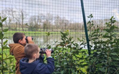Des manchots à Tourc&rsquo;h ?!