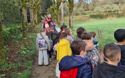 Chouette, des chouettes !