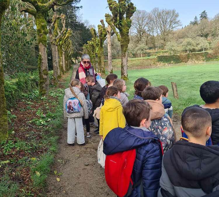 Chouette, des chouettes !