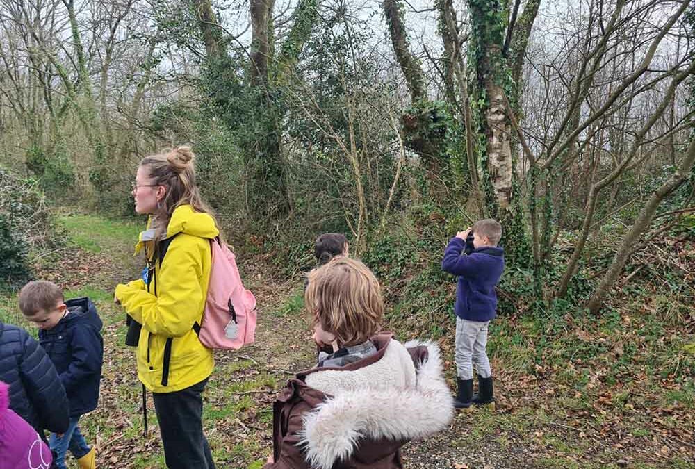 Tourc&rsquo;h en quête du chardonneret élégant