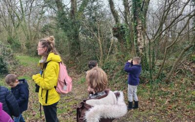 Tourc&rsquo;h en quête du chardonneret élégant
