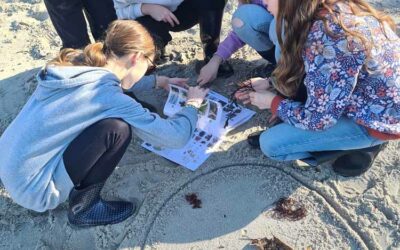 Naturalistes en quête d&rsquo;algues