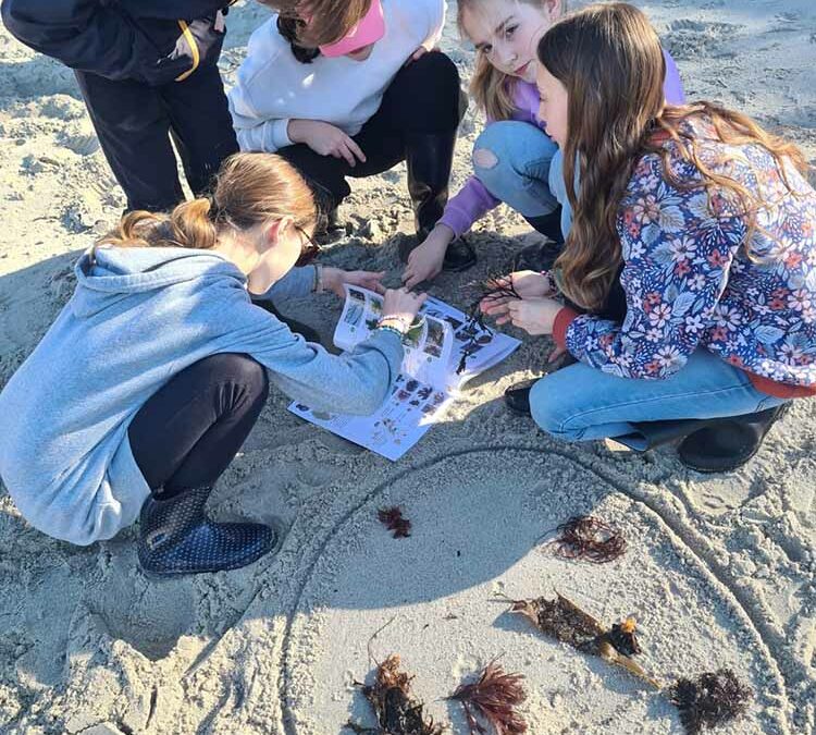 Naturalistes en quête d&rsquo;algues