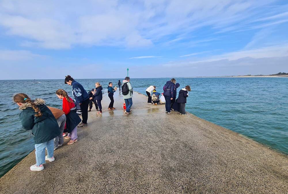 Pêche microscopique à Mousterlin