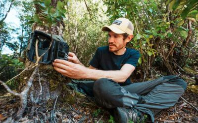 « Attraper » les animaux avec des pièges photo